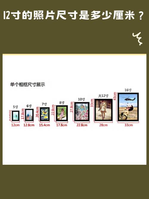 1寸等于多少cm厘米