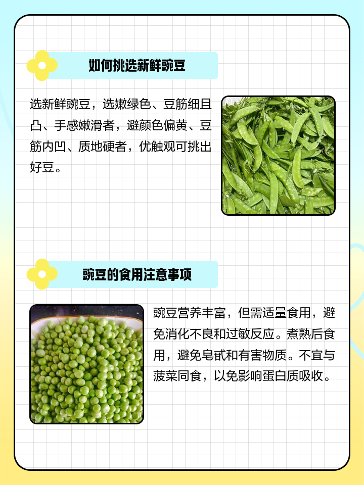 豌豆要煮多久